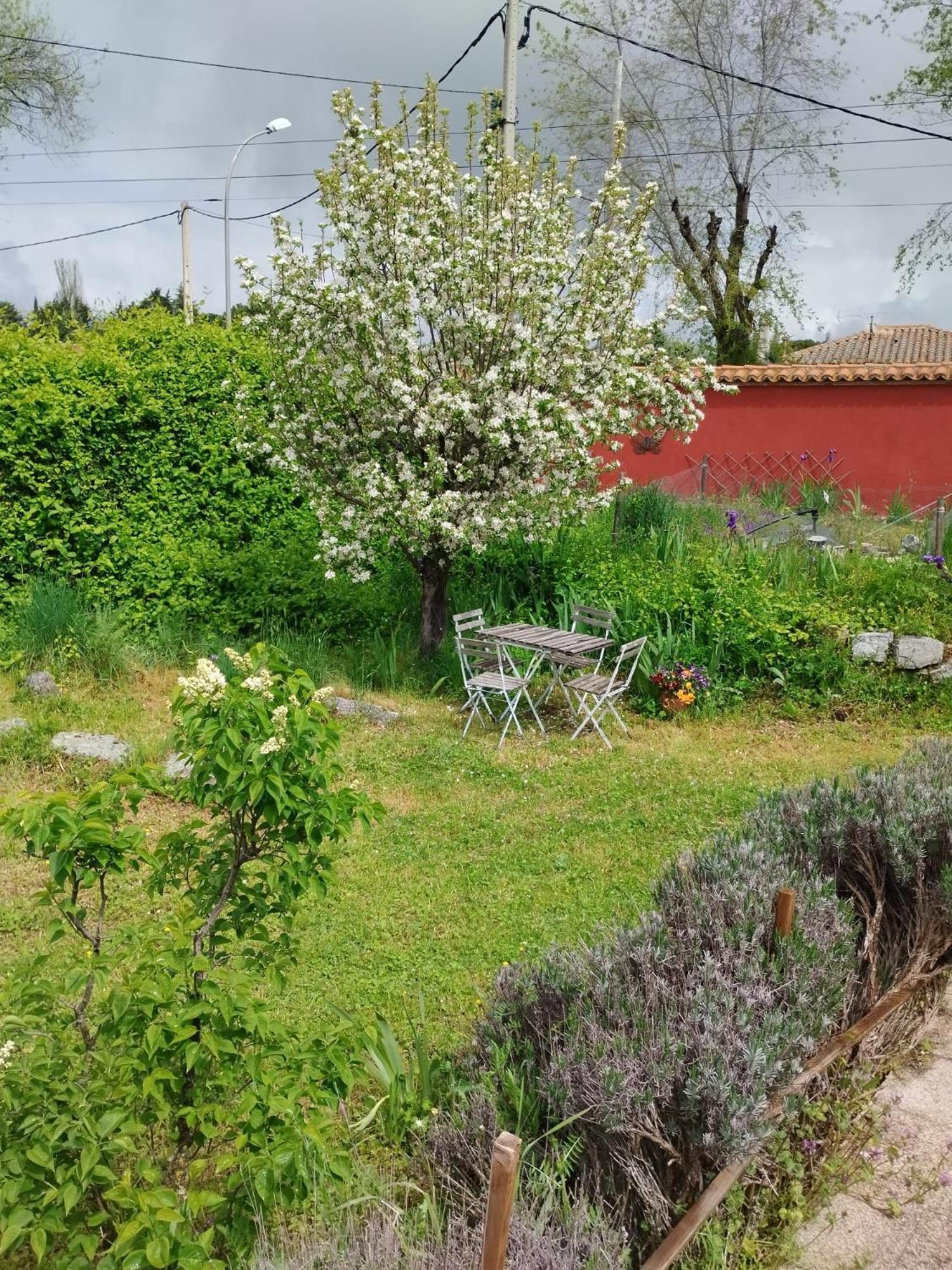 Casa De Lavandas, Ávila