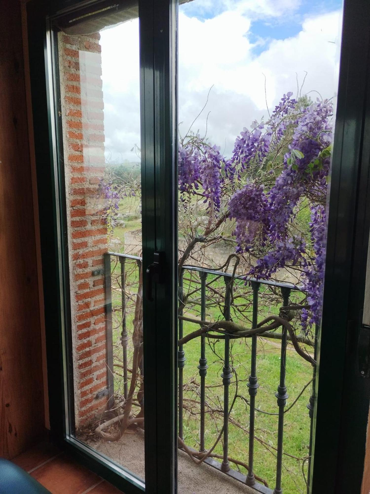 Casa De Lavandas,